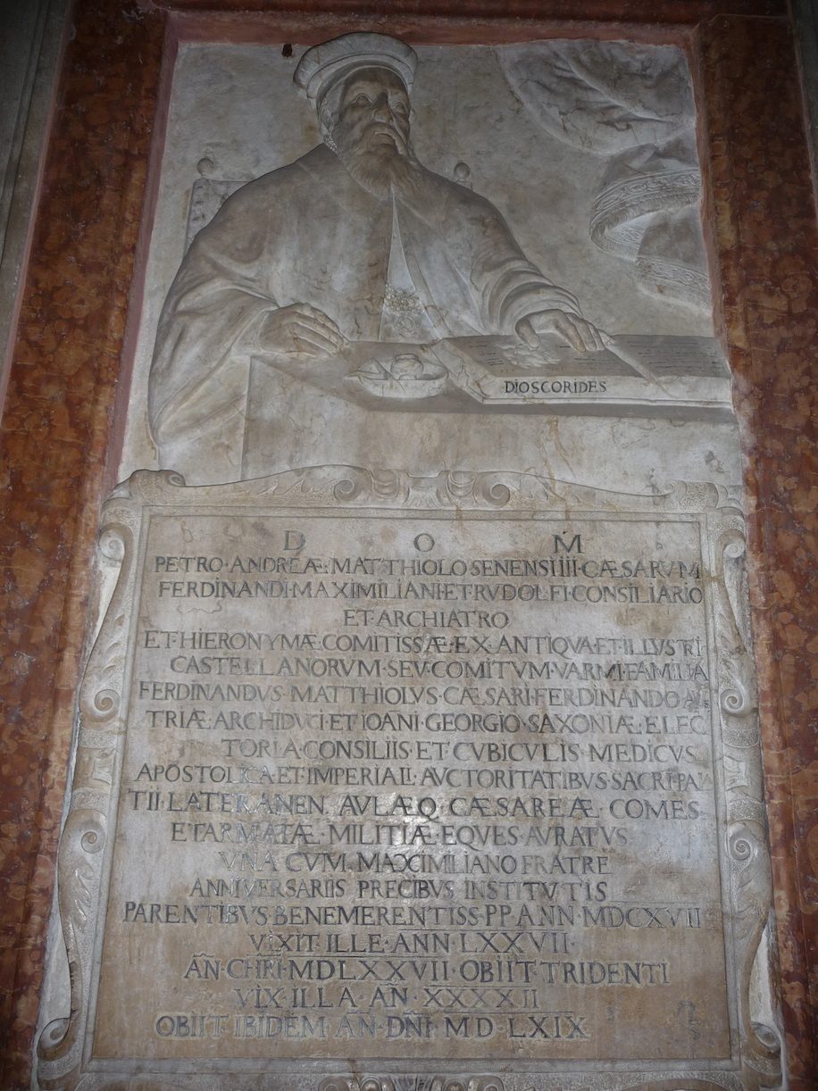 Pietro Andrea Mattioli's tombstone3.jpg